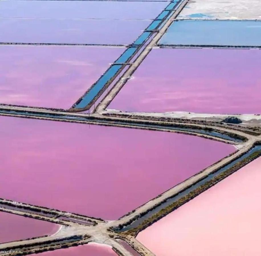 Le Soupir Des Palmiers. Ideal Couple, Piscine, Mer La Grande Motte Exteriér fotografie